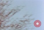 Image of United States P-47 Thunderbolt plane Berlin Germany, 1945, second 12 stock footage video 65675055508