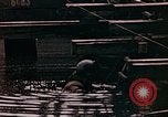 Image of submerged diver Berlin Germany, 1945, second 8 stock footage video 65675055512