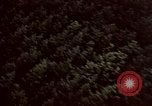 Image of German countryside Berlin Germany, 1945, second 40 stock footage video 65675055516