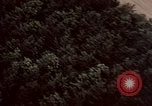 Image of German countryside Berlin Germany, 1945, second 41 stock footage video 65675055516