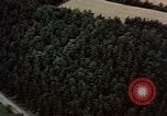 Image of German countryside Berlin Germany, 1945, second 46 stock footage video 65675055516