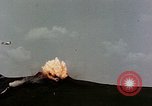 Immagine di Aerei bombardieri Berlino Germania, 1945, secondo 15 filmato di repertorio 65675055520