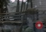 Immagine di Soldati americani in battaglia  Saigon Vietnam, 1968, secondo 31 filmato di repertorio 65675055532