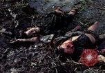 Image of dead Viet Cong Vietnam Vinh Te Canal, 1969, second 5 stock footage video 65675055543