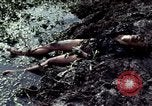 Image of dead Viet Cong Vietnam Vinh Te Canal, 1969, second 8 stock footage video 65675055543