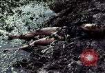 Image of dead Viet Cong Vietnam Vinh Te Canal, 1969, second 9 stock footage video 65675055543