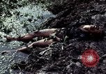 Image of dead Viet Cong Vietnam Vinh Te Canal, 1969, second 13 stock footage video 65675055543