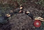 Image of dead Viet Cong Vietnam Vinh Te Canal, 1969, second 14 stock footage video 65675055543