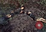 Image of dead Viet Cong Vietnam Vinh Te Canal, 1969, second 16 stock footage video 65675055543