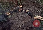 Image of dead Viet Cong Vietnam Vinh Te Canal, 1969, second 17 stock footage video 65675055543