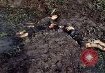 Image of dead Viet Cong Vietnam Vinh Te Canal, 1969, second 21 stock footage video 65675055543