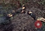 Image of dead Viet Cong Vietnam Vinh Te Canal, 1969, second 22 stock footage video 65675055543