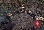 Image of dead Viet Cong Vietnam Vinh Te Canal, 1969, second 23 stock footage video 65675055543