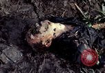 Image of dead Viet Cong Vietnam Vinh Te Canal, 1969, second 26 stock footage video 65675055543