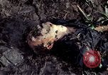 Image of dead Viet Cong Vietnam Vinh Te Canal, 1969, second 27 stock footage video 65675055543