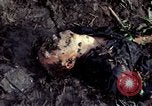 Image of dead Viet Cong Vietnam Vinh Te Canal, 1969, second 28 stock footage video 65675055543