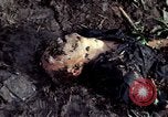 Image of dead Viet Cong Vietnam Vinh Te Canal, 1969, second 29 stock footage video 65675055543