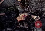 Image of dead Viet Cong Vietnam Vinh Te Canal, 1969, second 30 stock footage video 65675055543