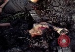Image of dead Viet Cong Vietnam Vinh Te Canal, 1969, second 32 stock footage video 65675055543