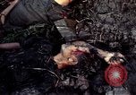 Image of dead Viet Cong Vietnam Vinh Te Canal, 1969, second 33 stock footage video 65675055543