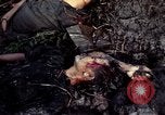 Image of dead Viet Cong Vietnam Vinh Te Canal, 1969, second 34 stock footage video 65675055543