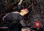 Image of dead Viet Cong Vietnam Vinh Te Canal, 1969, second 36 stock footage video 65675055543