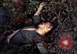 Image of dead Viet Cong Vietnam Vinh Te Canal, 1969, second 37 stock footage video 65675055543