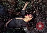 Image of dead Viet Cong Vietnam Vinh Te Canal, 1969, second 38 stock footage video 65675055543
