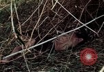 Image of dead Viet Cong Vietnam Vinh Te Canal, 1969, second 41 stock footage video 65675055543