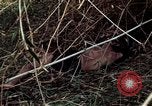 Image of dead Viet Cong Vietnam Vinh Te Canal, 1969, second 43 stock footage video 65675055543