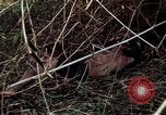 Image of dead Viet Cong Vietnam Vinh Te Canal, 1969, second 44 stock footage video 65675055543
