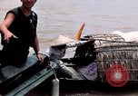 Immagine di Imbarcazione di pattuglia marinai di Fiume Il Vietnam Binh Thuy Air Base, 1967, secondo 13 filmato di repertorio 65675055547