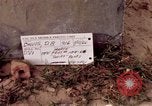 Immagine di Barca Swift Il Vietnam, 1966, secondo 7 filmato di repertorio 65675055563
