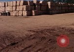 Image of Commercial Pier Da Nang Vietnam, 1966, second 47 stock footage video 65675055585