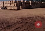 Image of Commercial Pier Da Nang Vietnam, 1966, second 49 stock footage video 65675055585