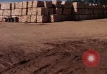 Image of Commercial Pier Da Nang Vietnam, 1966, second 54 stock footage video 65675055585