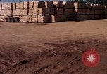 Image of Commercial Pier Da Nang Vietnam, 1966, second 58 stock footage video 65675055585