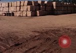 Image of Commercial Pier Da Nang Vietnam, 1966, second 59 stock footage video 65675055585