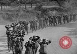 Immagine di Prigionieri tedeschi Avranches Francia, 1944, secondo 45 filmato di repertorio 65675055588