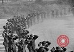 Immagine di Prigionieri tedeschi Avranches Francia, 1944, secondo 53 filmato di repertorio 65675055588