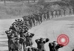 Immagine di Prigionieri tedeschi Avranches Francia, 1944, secondo 60 filmato di repertorio 65675055588