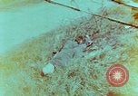 Immagine di Soldati tedeschi uccisi dai cechi a Pilsen Pilsen Cecoslovacchia, 1945, secondo 1 filmato di repertorio 65675055606