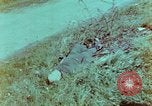 Immagine di Soldati tedeschi uccisi dai cechi a Pilsen Pilsen Cecoslovacchia, 1945, secondo 3 filmato di repertorio 65675055606