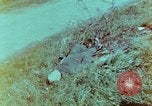 Immagine di Soldati tedeschi uccisi dai cechi a Pilsen Pilsen Cecoslovacchia, 1945, secondo 4 filmato di repertorio 65675055606