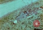 Immagine di Soldati tedeschi uccisi dai cechi a Pilsen Pilsen Cecoslovacchia, 1945, secondo 5 filmato di repertorio 65675055606