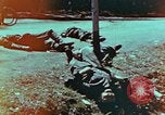 Immagine di Soldati tedeschi uccisi dai cechi a Pilsen Pilsen Cecoslovacchia, 1945, secondo 7 filmato di repertorio 65675055606