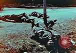 Immagine di Soldati tedeschi uccisi dai cechi a Pilsen Pilsen Cecoslovacchia, 1945, secondo 9 filmato di repertorio 65675055606