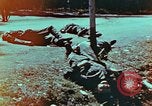 Immagine di Soldati tedeschi uccisi dai cechi a Pilsen Pilsen Cecoslovacchia, 1945, secondo 10 filmato di repertorio 65675055606