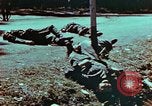 Immagine di Soldati tedeschi uccisi dai cechi a Pilsen Pilsen Cecoslovacchia, 1945, secondo 11 filmato di repertorio 65675055606