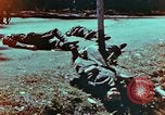 Immagine di Soldati tedeschi uccisi dai cechi a Pilsen Pilsen Cecoslovacchia, 1945, secondo 12 filmato di repertorio 65675055606